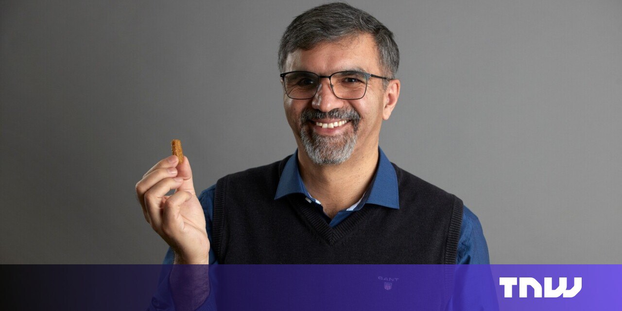 استارتاپ سوئدی با قارچ، کارخانه گوشت جایگزین راه‌اندازی کرد