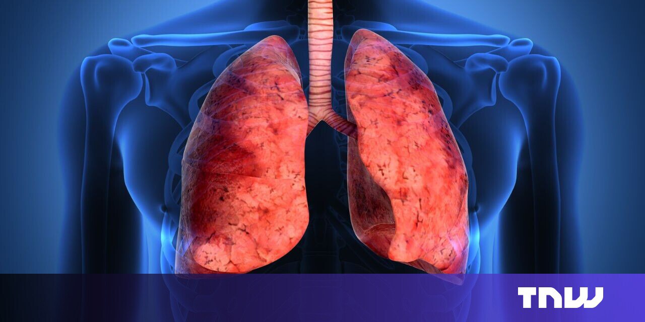 اندام‌های انسانی با چاپ سه‌بعدی؛ ایده جسورانه یک استارتاپ