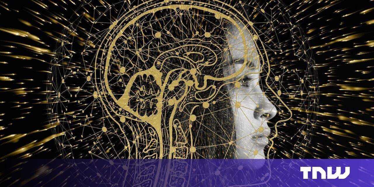 هلند پیشتاز در هوش مصنوعی “مغزگونه” برای مصرف انرژی کمتر