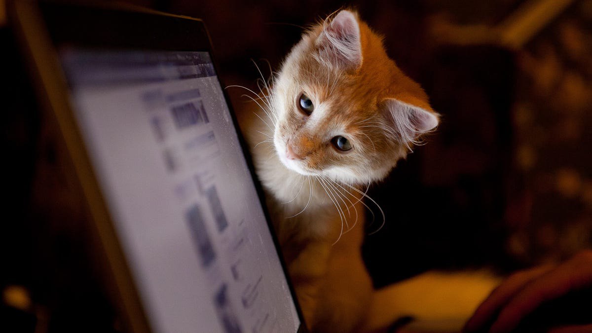 تست جذاب قابلیت چت صوتی هوش مصنوعی‌ها توسط ZDNET