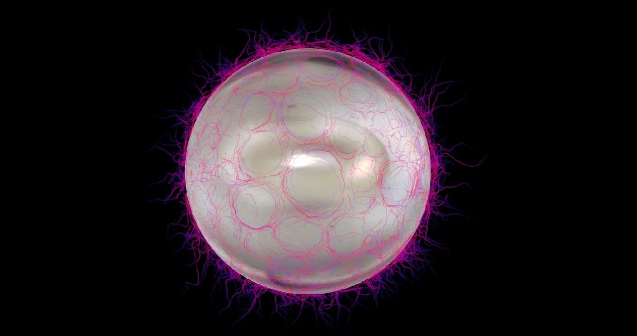 مدل هوش مصنوعی متا: بازتولید نیمی از هری پاتر و سوالات کپی‌رایتی