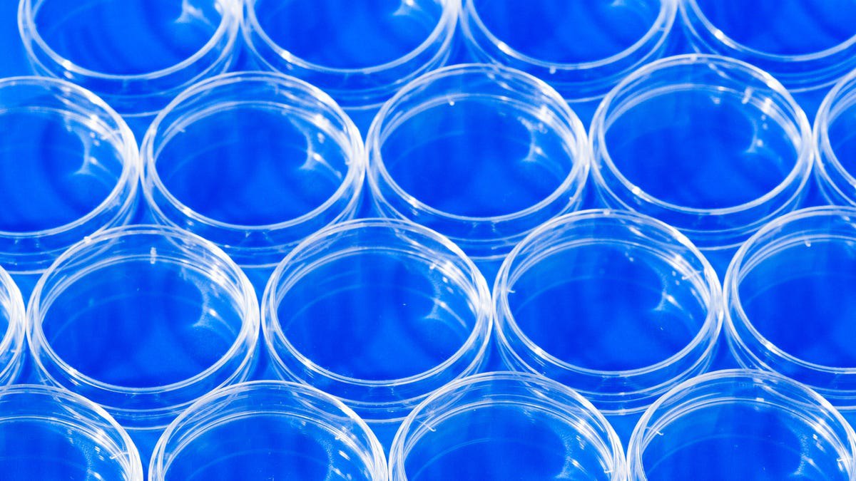 هوم لب (آزمایشگاه خانگی IT): ابزاری حیاتی برای یادگیری و موفقیت شغلی