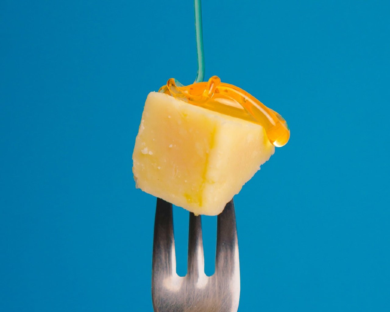 تولید پروتئین شیر با باکتری، بدون نیاز به گاو!