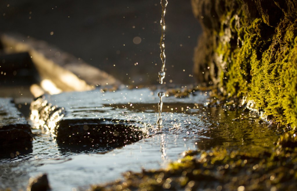 گوگل هزینه زیست‌محیطی هر پرامپت جمینای را اعلام کرد: فقط ۵ قطره آب