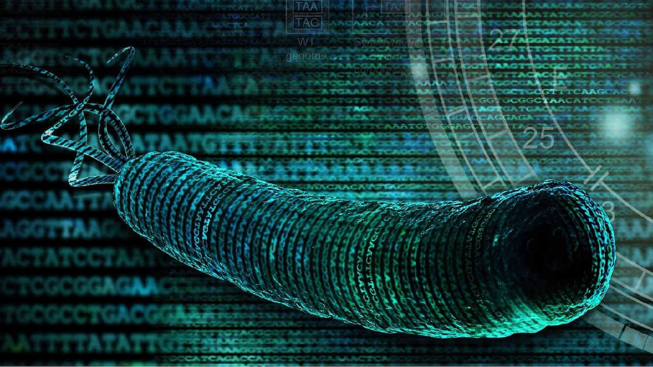 بازنویسی کد حیات: دانشمندان باکتری با DNA کاملاً مصنوعی ساختند