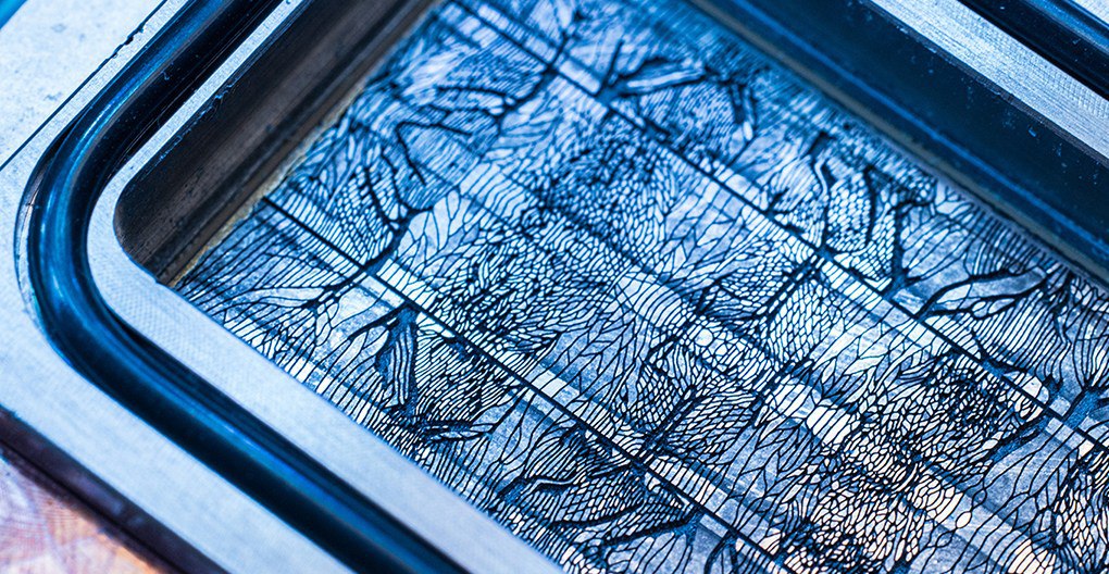 مایکروسافت تراشه‌های AI را با تزریق مایع خنک‌کننده متحول می‌کند