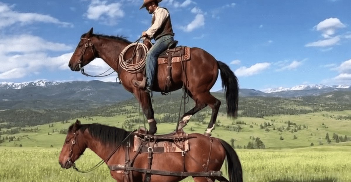 اپلیکیشن ویدیویی Sora برای آیفون عرضه شد: ساخت دیپ‌فیک با رضایت شما!