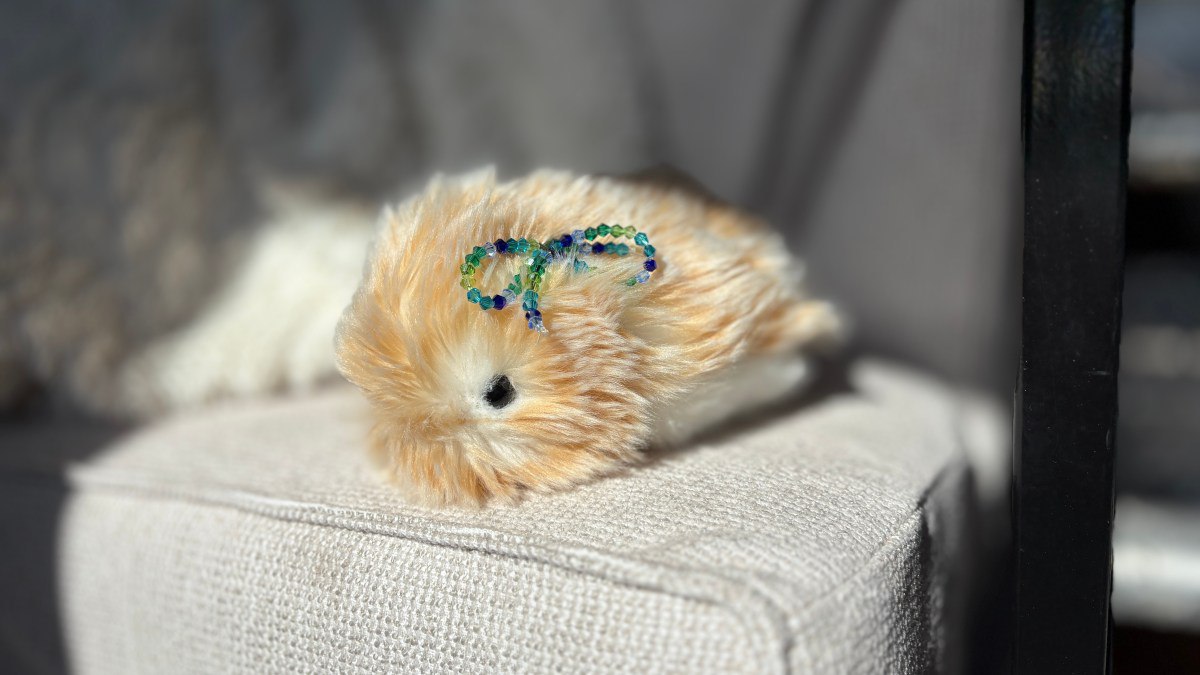 حیوان خانگی رباتیک موفلین: بامزه، گران، اما نه چندان باهوش