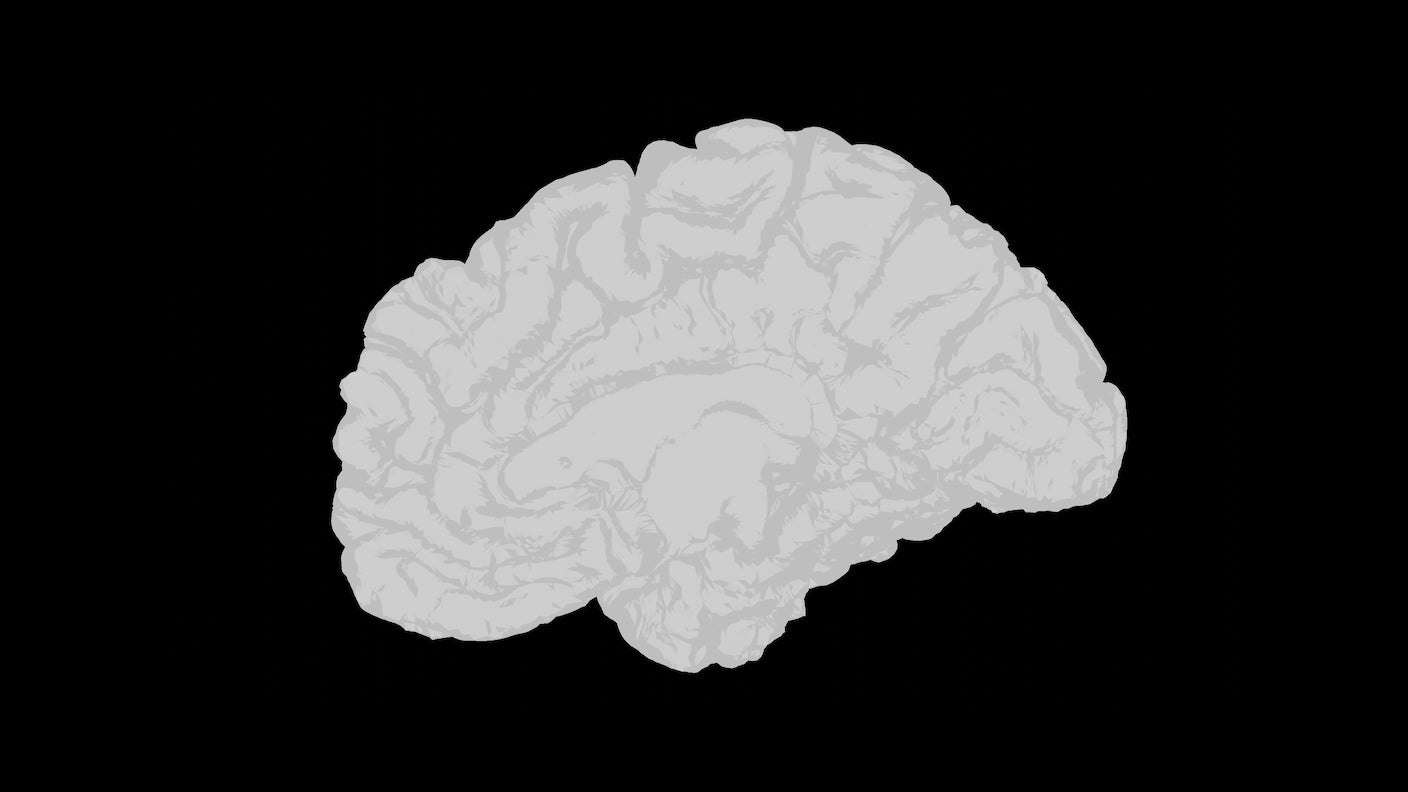 نقشه جامع تکوین مغز: راهی برای درمان اوتیسم و سرطان مغز